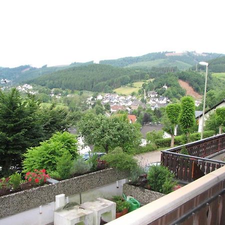 Haus Sonnenschein Apartment Lennestadt Exterior foto